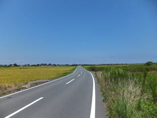 房総半島の田園と集落