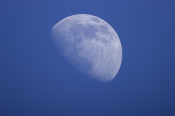full moon in the sky at dusk