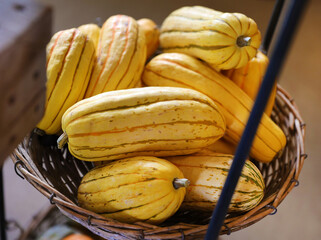 basket of gourds