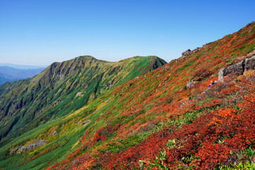 Scenery of Autumn Mountains in Japan