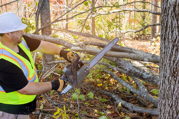In autumn park worker cuts down trees that fell as result of strong hurricane