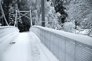 Bridge and vegetation all covered by snow