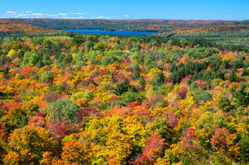 An Autumn Forest Canopy Flows Towards A Lake In The Distance With Bright Blue Skies. Lake Of Two Rivers, Algonquin Provincial Park, Ontario, Canada.