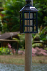 red lantern on a tree