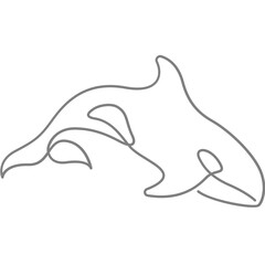 Killer whale Orca continuous line art minimal style vector illustration. Mono lineal design.