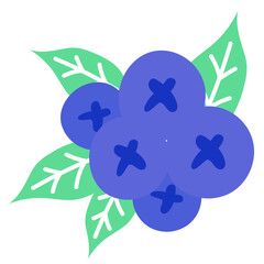 blueberry fruit food organic healthy vegan berry doodle flat