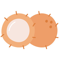 coconut fruit food organic healthy tropical doodle flat