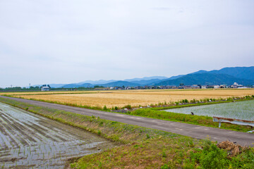 Naklejka premium Agricultural Fields in Fukui prefecture, Japan.