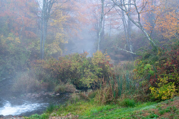 Foggy Stream in Autumn. High quality photo was taken early in the morning on running stream in New England