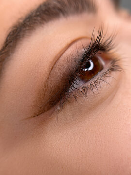 permanent eyeliner makeup close up. Healthy and clean skin young woman