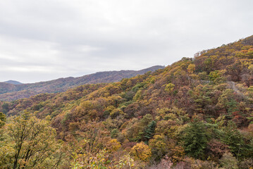 남한산성의 가을