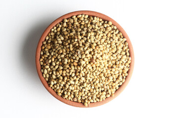 Fototapeta premium Coriander seeds in a terracotta bowl placed on a white background 