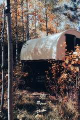 A model of a covered wagon used to travel west in the 1800s, surrounded by trees. .  