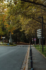 Parc de la Sapiniere in the day