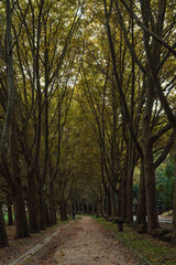 Parc de la Sapiniere in the day