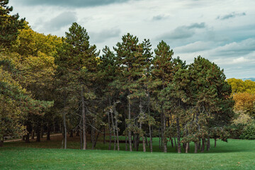Parc de la Sapiniere in the day