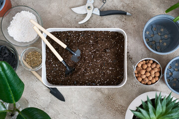 preparation of soil substrate for planting houseplant into a pot