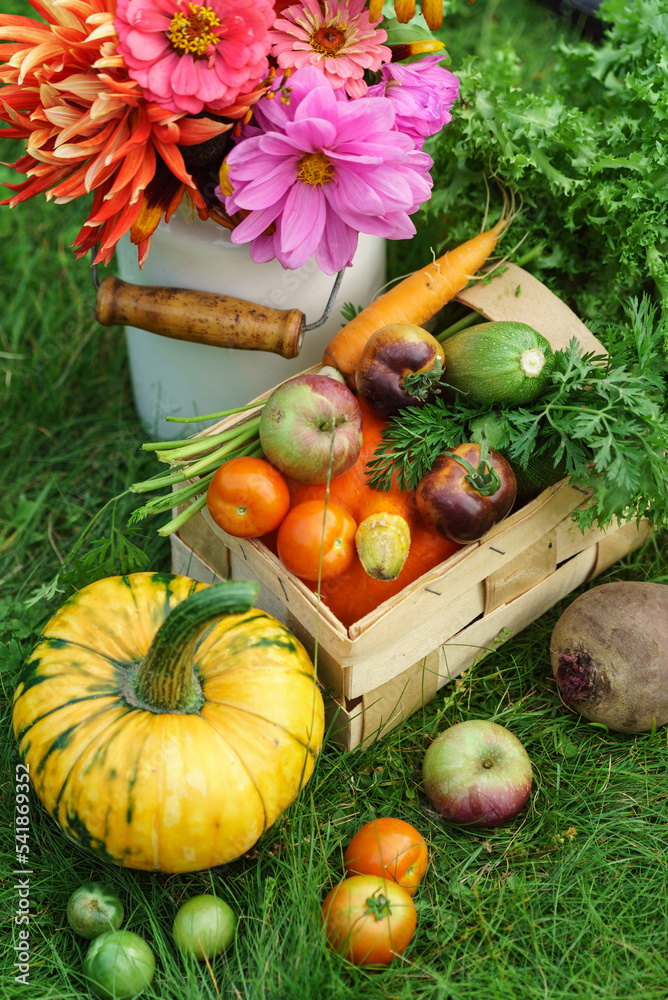 Wall mural autumn arrangement in the garden