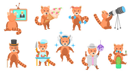 Big Set Abstract Collection Flat Cartoon Different Animal Red Pandas Vector Design Style Elements Fauna Wild