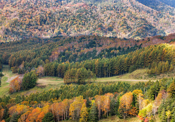 Fototapeta na wymiar 日光白根山から見える紅葉した山の風景