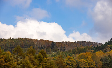 日光白根山から見える紅葉した山の風景