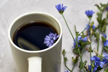 chicory drink and floating chicory flower in a coffee mug next to chicory flowers