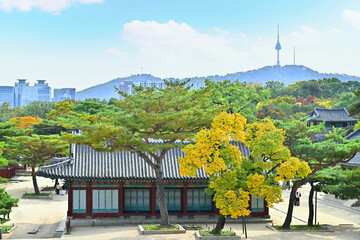 Autumn of Korean tradition architectural of Changgyeonggung Palace and modern building cityscpae modern office view background, Seoul, Republic of Korea