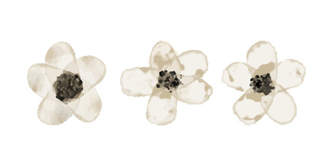 set of brown flowers illustration in watercolor style