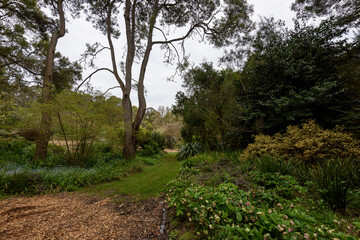 Spring garden Garden of Erth in Blackwood, Victoria Australia