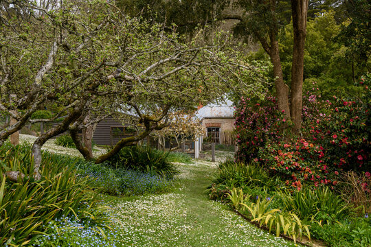 Spring garden Garden of Erth in Blackwood, Victoria Australia