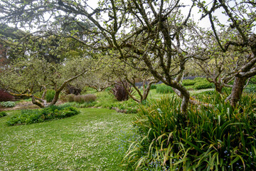 Spring garden Garden of Erth in Blackwood, Victoria Australia
