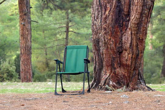 Essential camp chair for nature camping