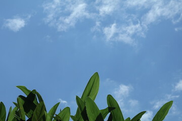 beauty of nature with clouds and sky