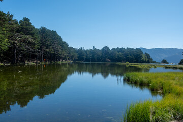 Fototapeta na wymiar magnifique vue sur un lac de montagne avec reflet sur l'eau