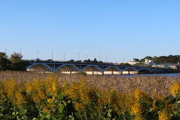 Tega Bridge (Tega Ohashi) at Lake Teganuma in Kashiwa, Chiba, Japan. October 26, 2022