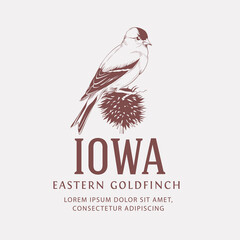 Vintage Bird Logo. Iowa State Bird. Eastern Goldfinch - obrazy, fototapety, plakaty
