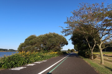 Teganuma Nature Community Greenway. Left lane is for cyclists. Kashiwa, Chiba, Japan. October 26, 2022
