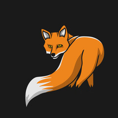 red fox illustration