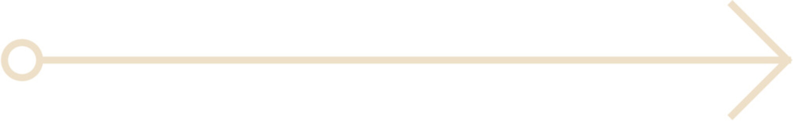 Minimal Thin Arrow Vector Illustration