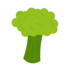 Vector illustration of broccoli. Broccoli in flat style. Illustration of vegetable.