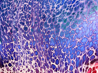 oil paint abstract color background