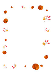 Gold Leaf Background White Vector. Vegetable Decorative. Red Happy Illustration. Foliage Template. Colorful Pumpkin Harvest Texture.