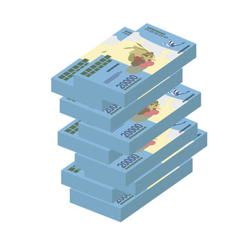 Malagasy Ariary Vector Illustration. Madagascar money set bundle banknotes. Paper money 20000 MGA. Flat style. Isolated on white background. Simple minimal design.