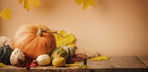 Naklejka na ściany i meble A rustic autumn still life