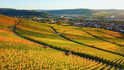 Weinberge Sonnenuntergang