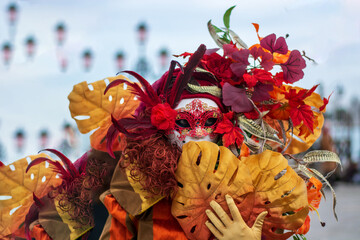 the colors of autumn on the costume of the carnival