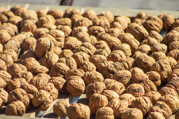 Walnut texture pattern. Many walnut exposed to the sun - drying. Healthy food