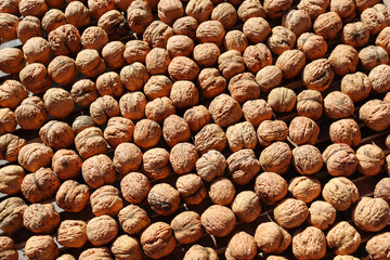 Walnut texture pattern. Many walnut exposed to the sun - drying. Healthy food