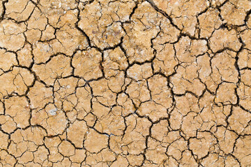 Barren ground. Dry and cracked earth background
