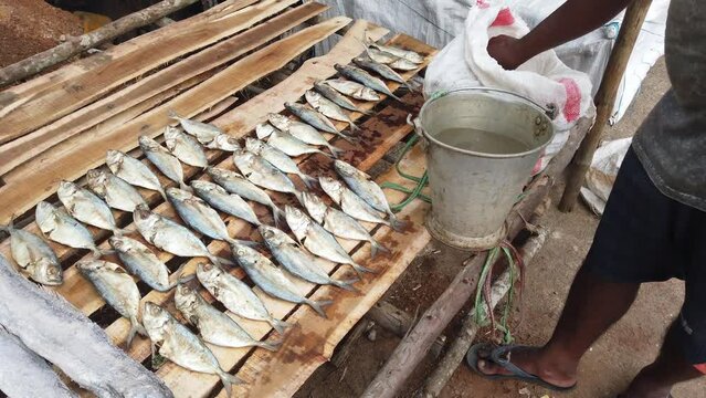 Varieties Of Dryfish Sale In Indian Fish Market Ribbonfish